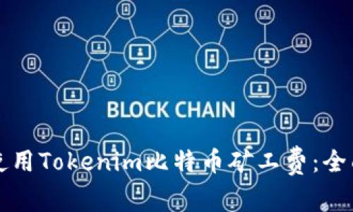 如何使用Tokenim比特币矿工费:全面指南