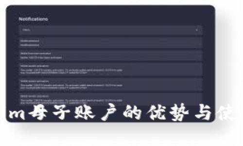 Tokenim母子账户的优势与使用指南