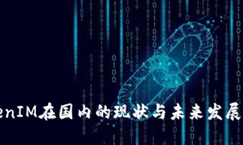 TokenIM在国内的现状与未来发展展望