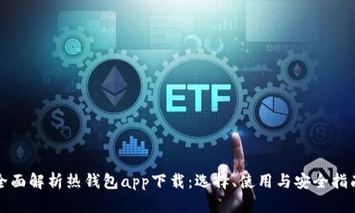 全面解析热钱包app下载:选择、使用与安全指南