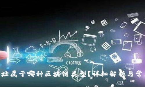 Tokenim地址属于哪种区块链类型?详细解析与常见问题解答
