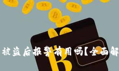 Token.im钱包被盗后报警有用吗?全面解析与防护建议