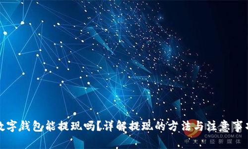 数字钱包能提现吗?详解提现的方法与注意事项