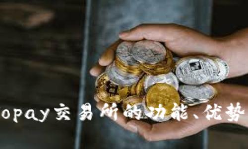 全面分析：Topay交易所的功能、优势及市场影响