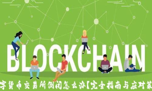 数字货币交易所倒闭怎么办?完全指南与应对策略