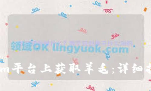 如何在Token.im平台上获取羊毛:详细指南与实用技巧