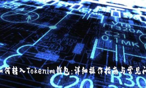 NFT币如何转入Tokenim钱包:详细操作指南与常见问题解答