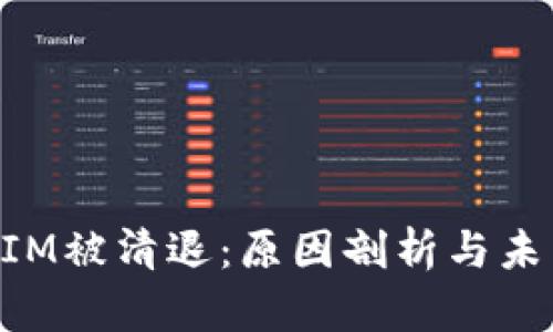 TokenIM被清退:原因剖析与未来展望