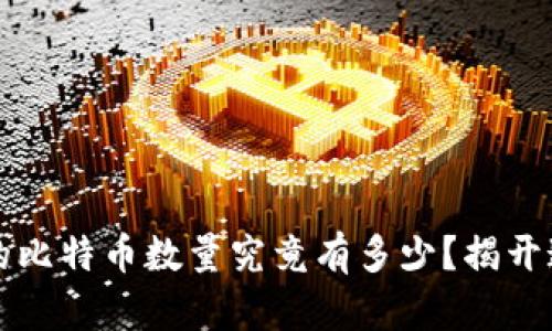 中本聪持有的比特币数量究竟有多少?揭开这一神秘面纱