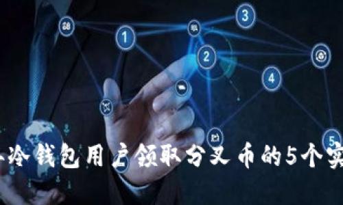 2023年冷钱包用户领取分叉币的5个实用步骤