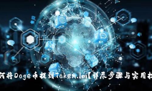 如何将Doge币提到Token.im？详尽步骤与实用技巧