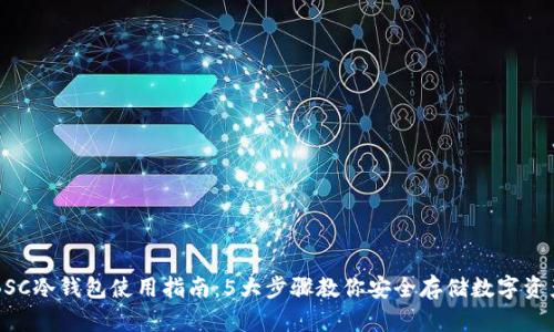 BSC冷钱包使用指南:5大步骤教你安全存储数字资产