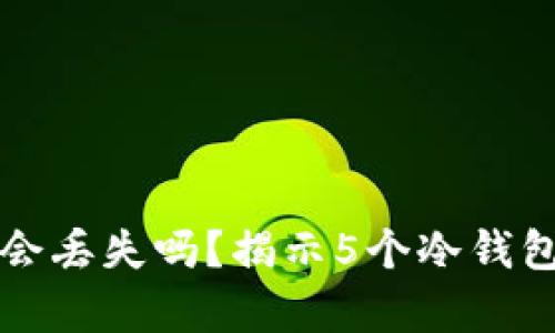 冷钱包里的币会丢失吗?揭示5个冷钱包的安全性真相
