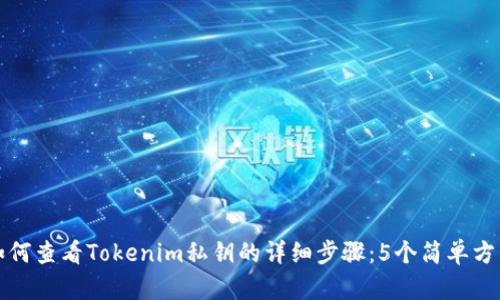 如何查看Tokenim私钥的详细步骤：5个简单方法