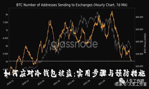 如何应对冷钱包被盗:实用步骤与预防措施