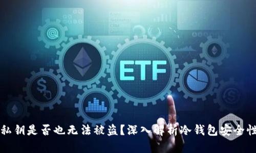 冷钱包只有私钥是否也无法被盗?深入解析冷钱包安全性及使用方法