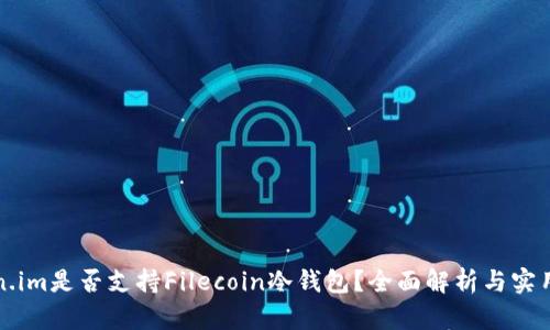 Token.im是否支持Filecoin冷钱包？全面解析与实用指南