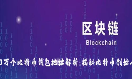 中本聪的100万个比特币钱包地址解析：揭秘比特币创始人的财富密码
