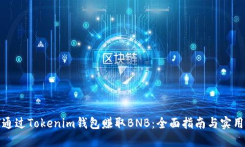 如何通过Tokenim钱包赚取BNB：全面指南与实用策略