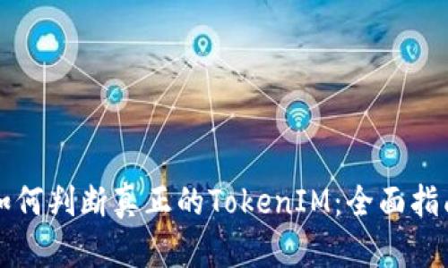 如何判断真正的TokenIM：全面指南