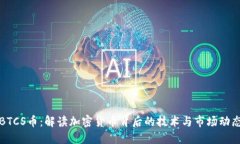 BTCS币：解读加密货币背后的技术与市场动态