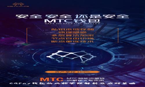 CGPay钱包的风控管理解析及应对策略