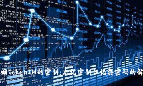 如何找回TokenIM的密钥：忘记密钥但记得密码的解决方案